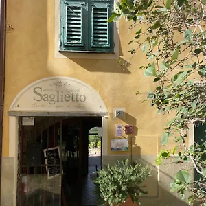 Uliveto Saglietto A Poggi Imperia